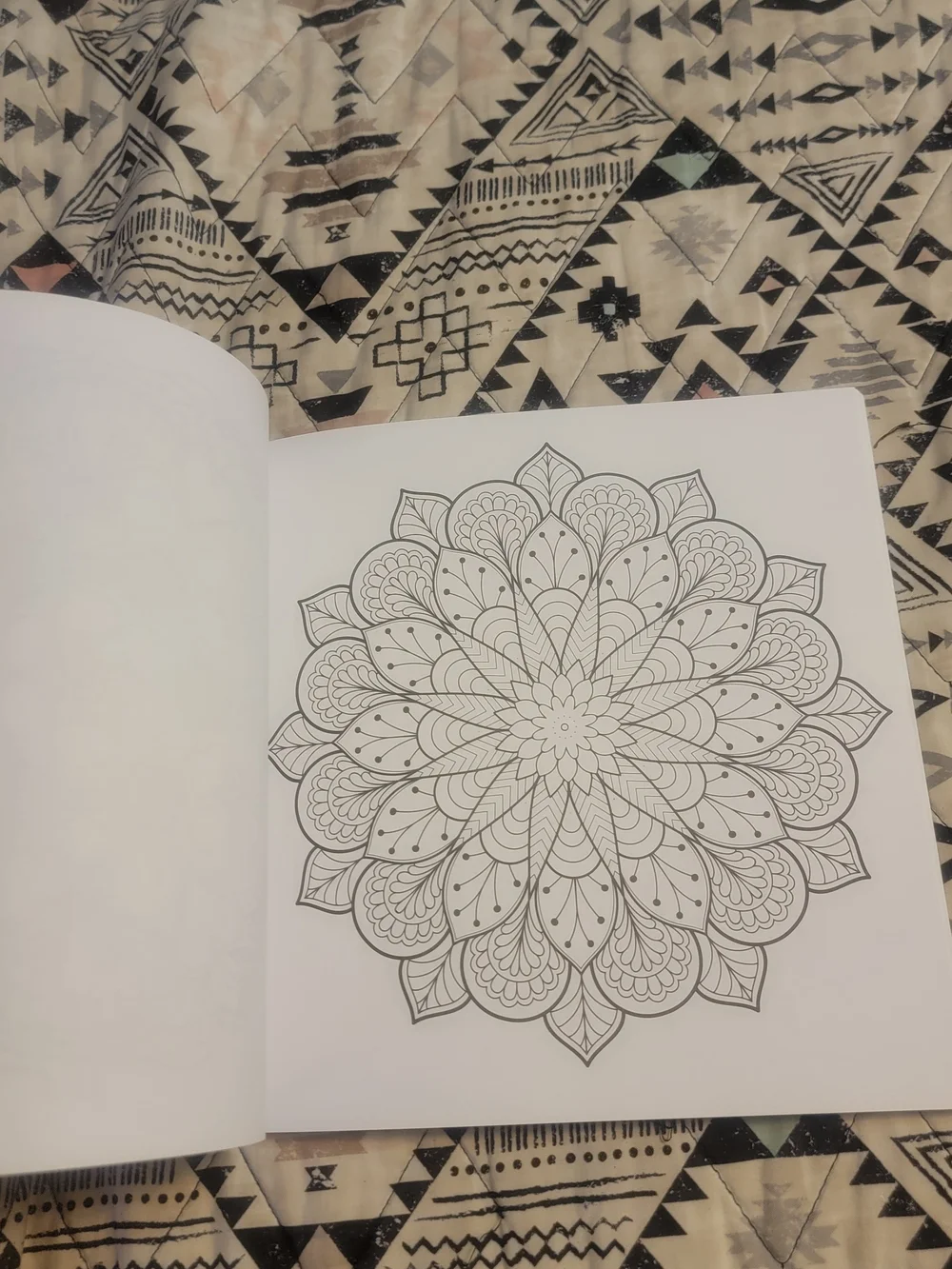 The Art of Mandala Adult Coloring Book by Jason Hamilton - Purple Cover